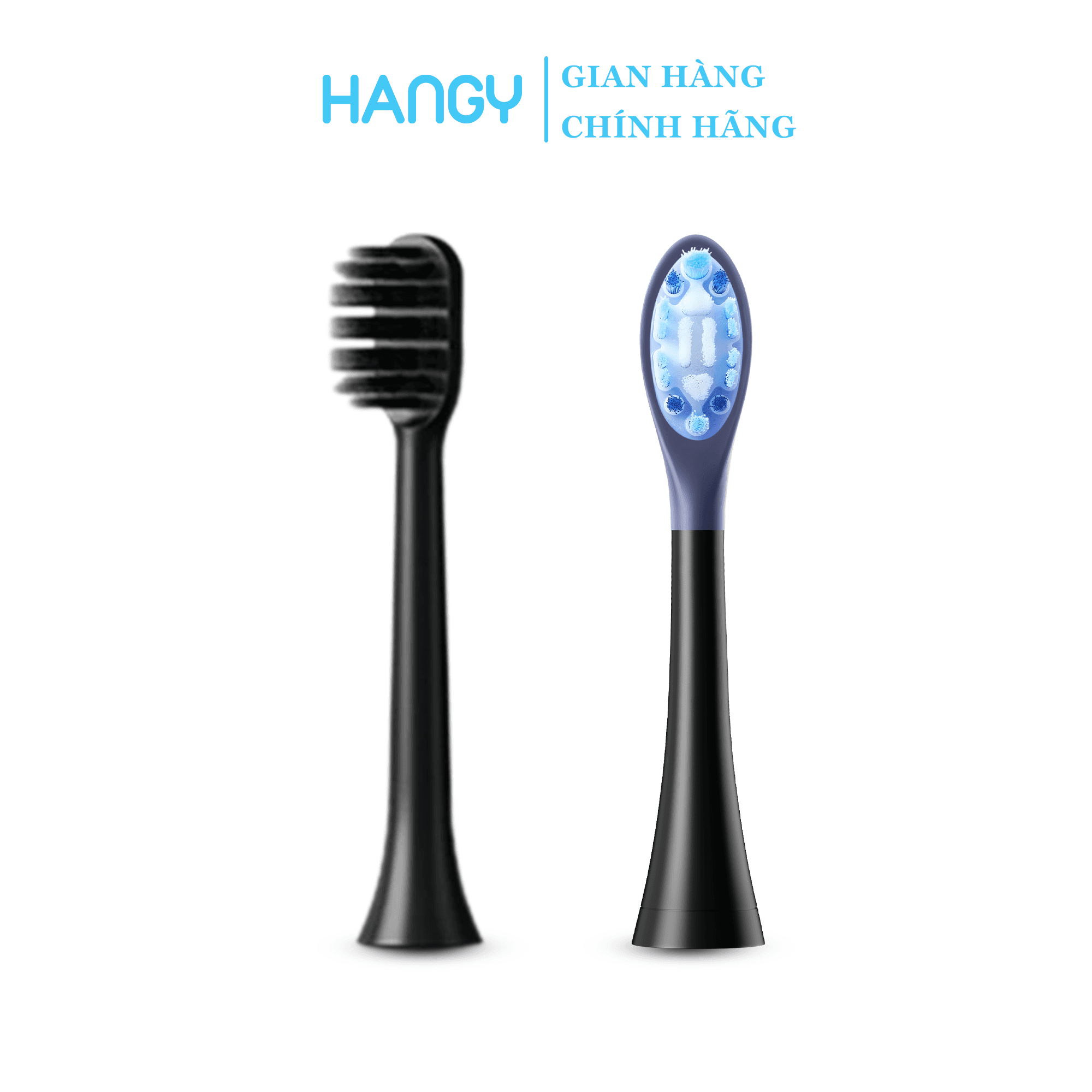 Đầu bàn chải dành cho Bàn chải điện HANGY HY23 ULTRA