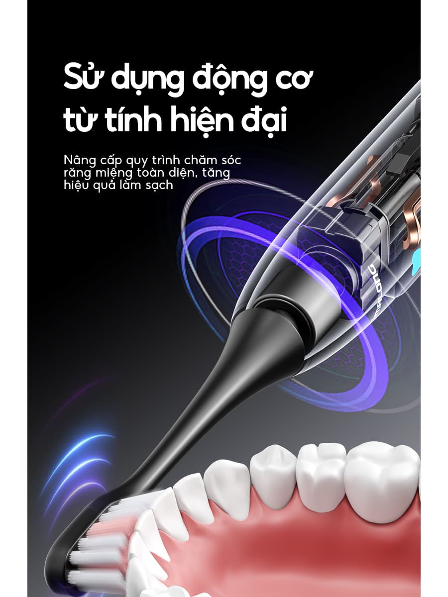 Bàn chải điện HANGY H1 PRO thế hệ mới 2025 [Bảo hành 24 tháng] - Ảnh 2